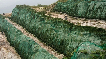 绿色罩面网结合攀援植物垂直绿化技术