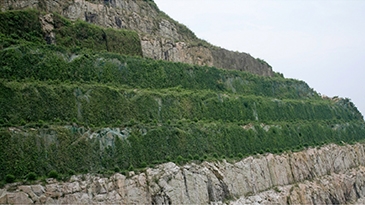 三峡下岸溪采石场植被恢复项目