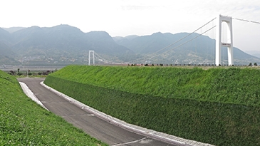 三峡坝区西陵大桥匝道景观工程